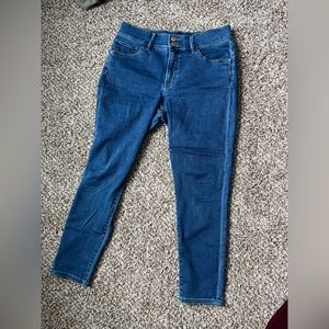 Express Cropped Skinny Jeans